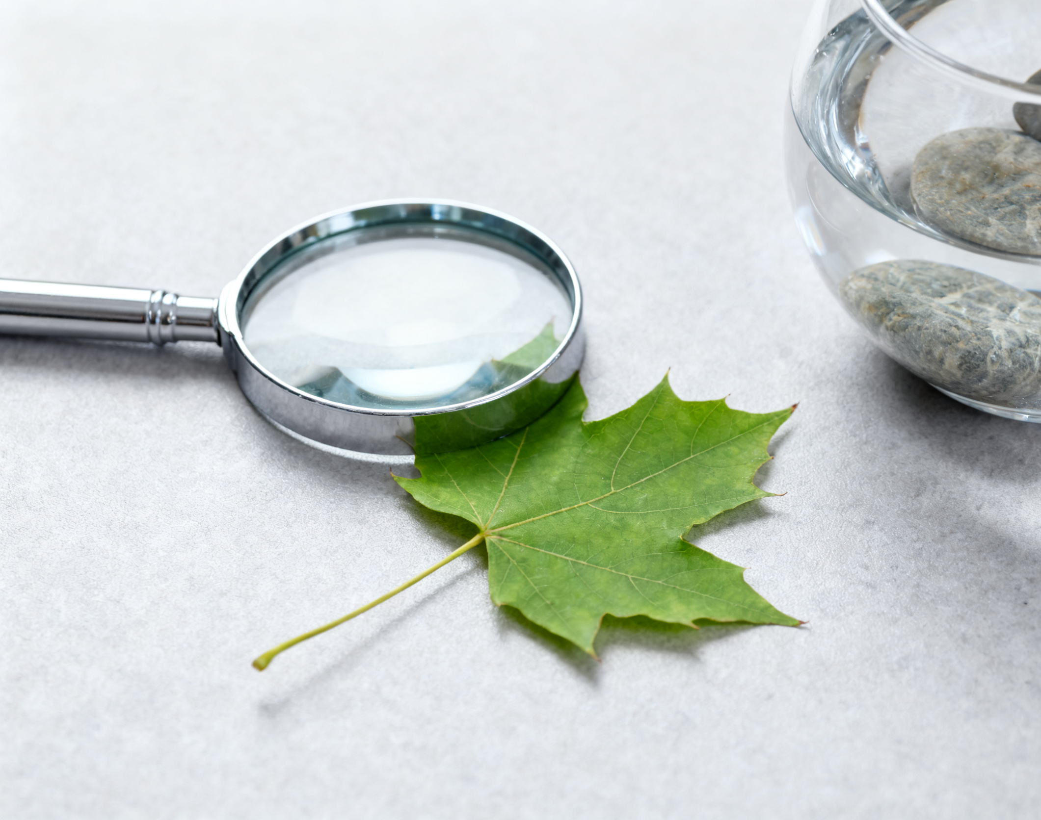 Financial Due Diligence Services